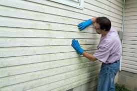 Best Storm Damage Siding Repair  in Inverness Highlands North, FL